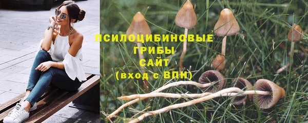 ECSTASY Зерноград