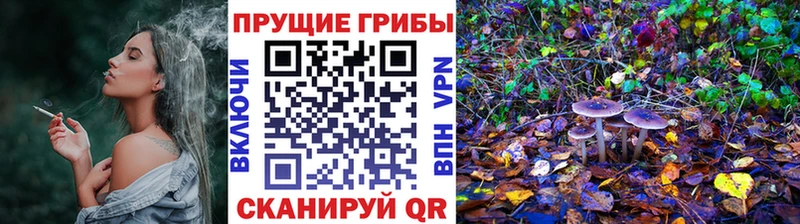 Купить  Гусиноозёрск  Галлюциногенные грибы Magic Shrooms 